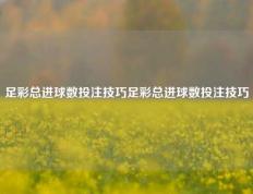 足彩总进球数投注技巧足彩总进球数投注技巧