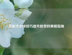 足彩大小球技巧提升胜率的策略指南