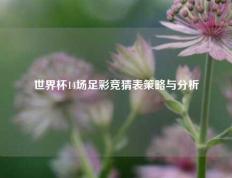 世界杯14场足彩竞猜表策略与分析