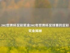 2002世界杯足彩奖金2002年世界杯足球赛的足彩奖金揭秘