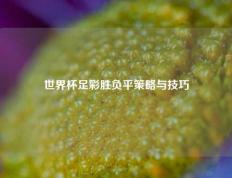 世界杯足彩胜负平策略与技巧