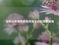 足彩分析预测网易网易平台的独家视角