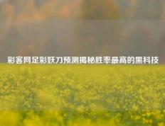 彩客网足彩妖刀预测揭秘胜率最高的黑科技