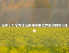 足彩十万个为什么揭秘彩票世界里的奥秘与乐趣