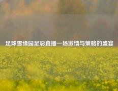 足球雪缘园足彩直播一场激情与策略的盛宴