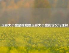 足彩大小盘是啥意思足彩大小盘的含义与理解