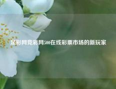 足彩网竞彩网500在线彩票市场的新玩家