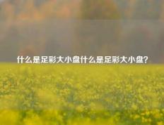 什么是足彩大小盘什么是足彩大小盘？