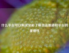 什么平台可以购买足彩了解合法渠道和平台的重要性