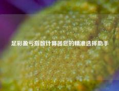 足彩盈亏指数计算器您的精准选择助手