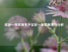 足彩一等奖有多少足彩一等奖概率与分析
