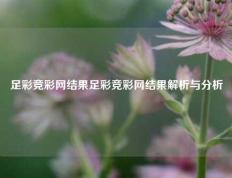 足彩竞彩网结果足彩竞彩网结果解析与分析