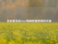 足彩胜负彩16167预测把握胜算的关键
