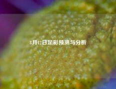 8月12日足彩预测与分析