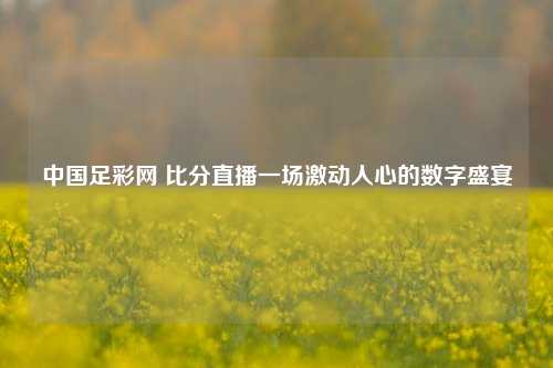 中国足彩网 比分直播一场激动人心的数字盛宴