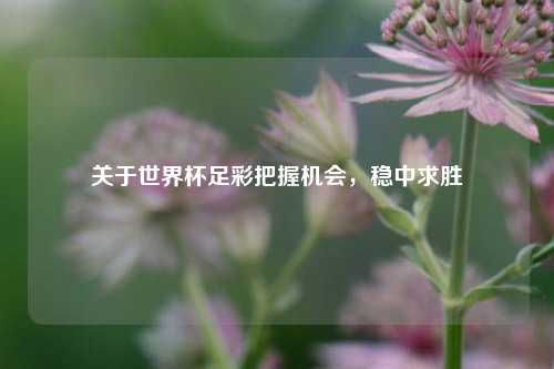 关于世界杯足彩把握机会，稳中求胜