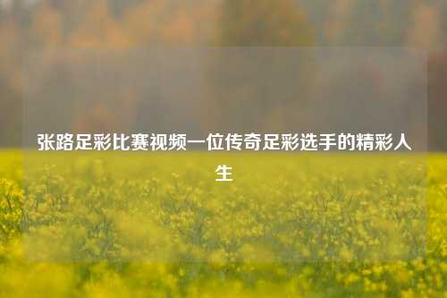 张路足彩比赛视频一位传奇足彩选手的精彩人生
