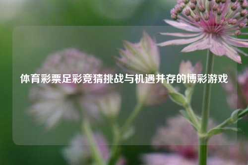 体育彩票足彩竞猜挑战与机遇并存的博彩游戏