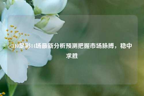310足彩14场最新分析预测把握市场脉搏，稳中求胜