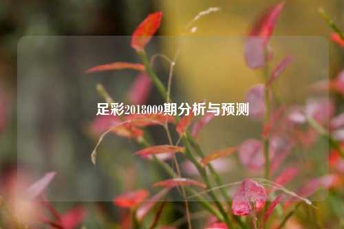 足彩2018009期分析与预测