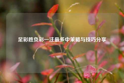 足彩胜负彩一注最多中策略与技巧分享