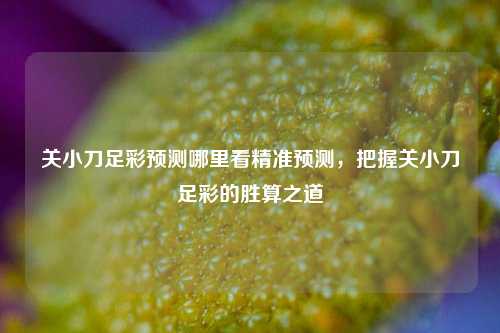 关小刀足彩预测哪里看精准预测，把握关小刀足彩的胜算之道