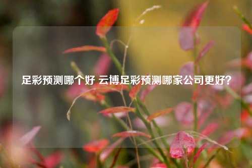 足彩预测哪个好 云博足彩预测哪家公司更好？