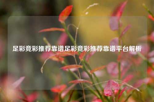 足彩竞彩推荐靠谱足彩竞彩推荐靠谱平台解析