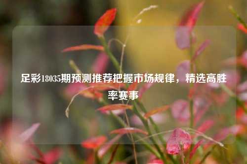 足彩18035期预测推荐把握市场规律，精选高胜率赛事