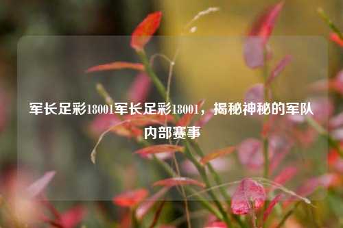军长足彩18001军长足彩18001，揭秘神秘的军队内部赛事