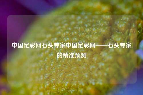 中国足彩网石头专家中国足彩网——石头专家的精准预测
