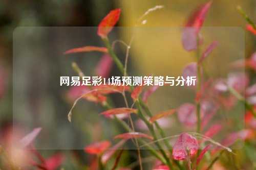 网易足彩14场预测策略与分析