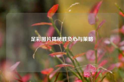 足彩图片揭秘胜负心与策略