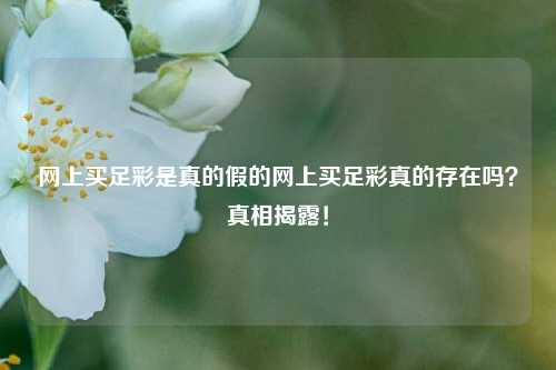 网上买足彩是真的假的网上买足彩真的存在吗？真相揭露！