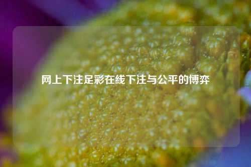 网上下注足彩在线下注与公平的博弈