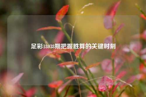 足彩18038期把握胜算的关键时刻