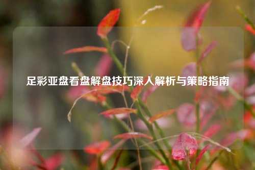 足彩亚盘看盘解盘技巧深入解析与策略指南