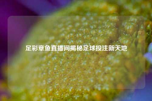 足彩章鱼直播间揭秘足球投注新天地