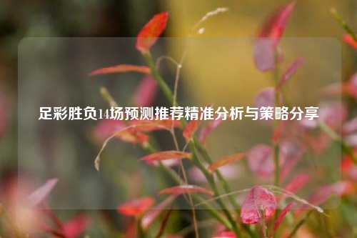 足彩胜负14场预测推荐精准分析与策略分享