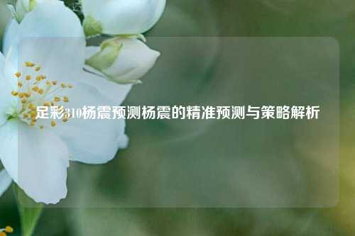 足彩310杨震预测杨震的精准预测与策略解析