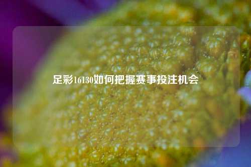 足彩16130如何把握赛事投注机会