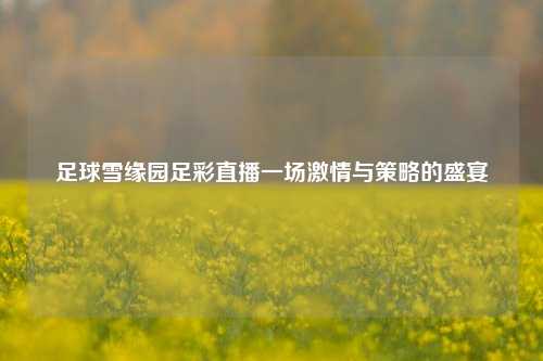 足球雪缘园足彩直播一场激情与策略的盛宴