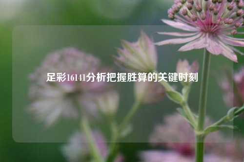 足彩16141分析把握胜算的关键时刻