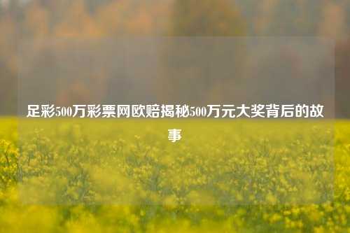 足彩500万彩票网欧赔揭秘500万元大奖背后的故事