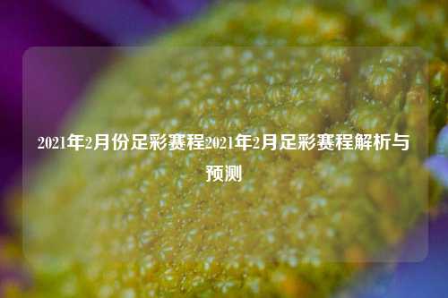 2021年2月份足彩赛程2021年2月足彩赛程解析与预测