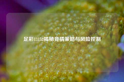 足彩13152揭秘竞猜策略与风险控制