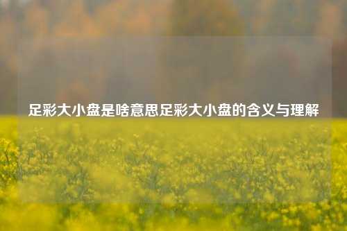 足彩大小盘是啥意思足彩大小盘的含义与理解
