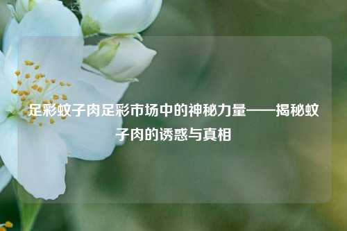 足彩蚊子肉足彩市场中的神秘力量——揭秘蚊子肉的诱惑与真相