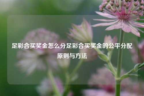 足彩合买奖金怎么分足彩合买奖金的公平分配原则与方法