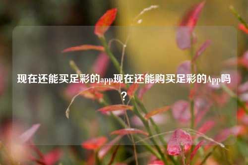 现在还能买足彩的app现在还能购买足彩的App吗？